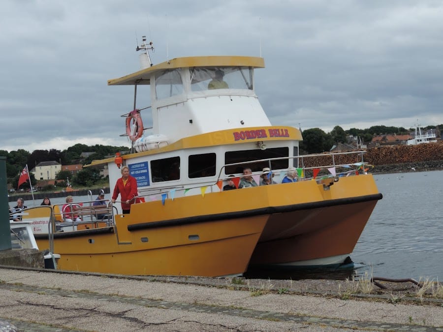 Berwick Boat Trips