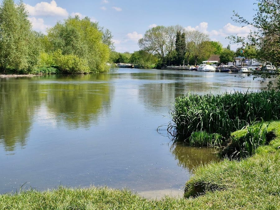 Chertsey Meads