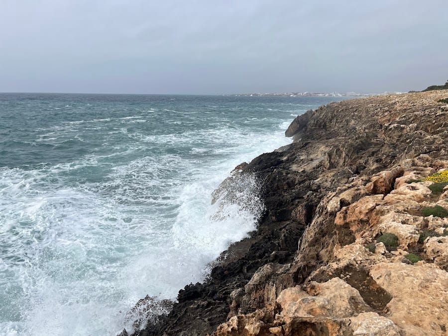 Cova de ses Crestes