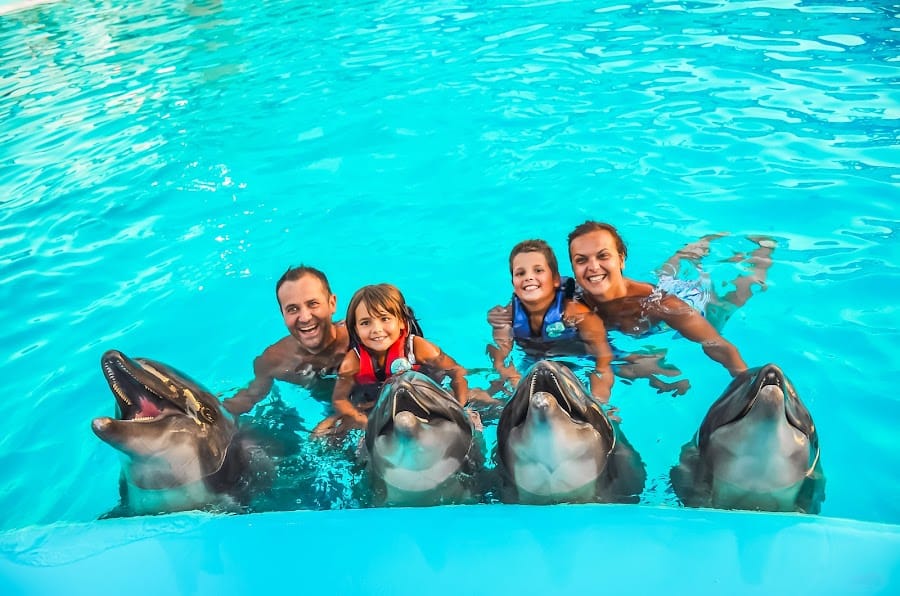 Dolphin World Egypt