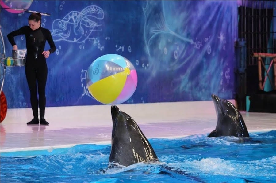Dubai Dolphinarium