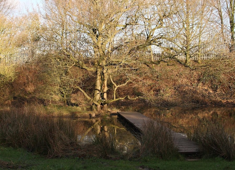 Gorse Hill Nature Reserve