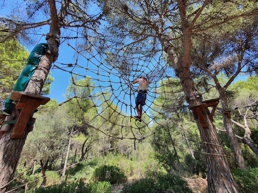 Jungle Parc