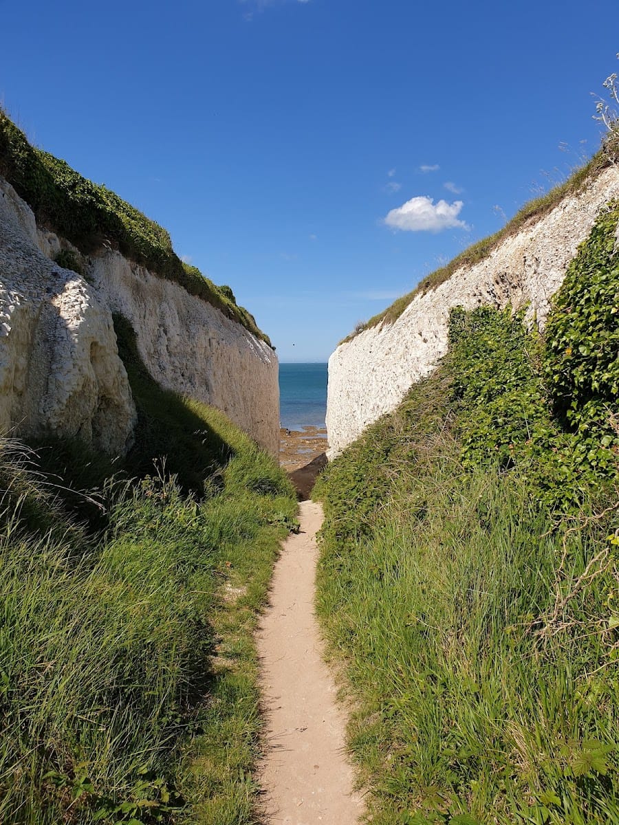Kingsgate Bay Beach