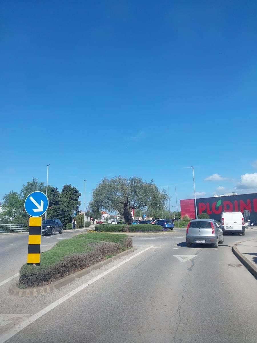 Kružni tok MEDULIN