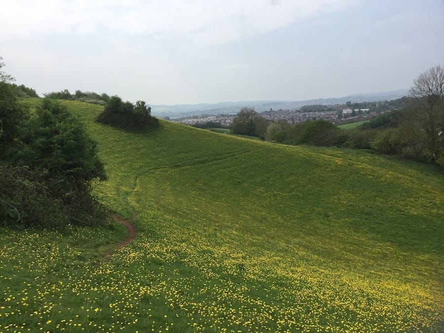 Ludwell Valley Park