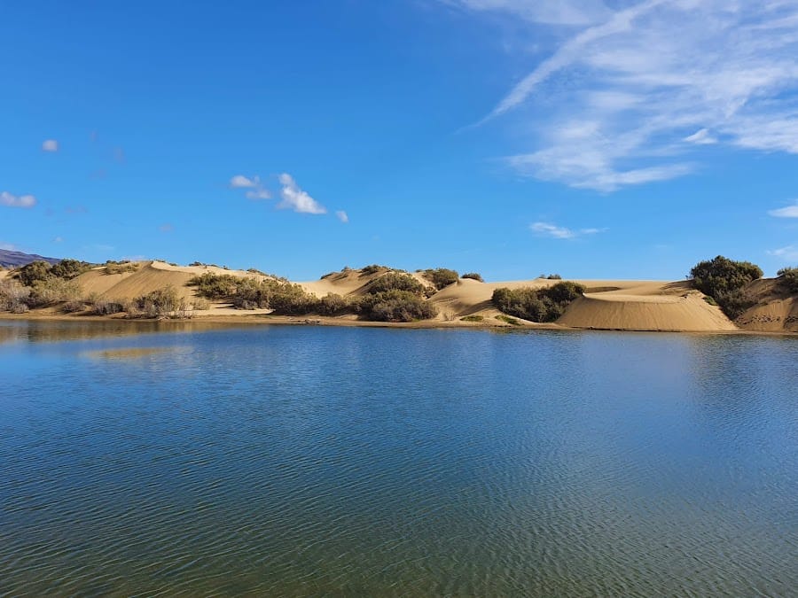 Maspalomas Pond Promenade