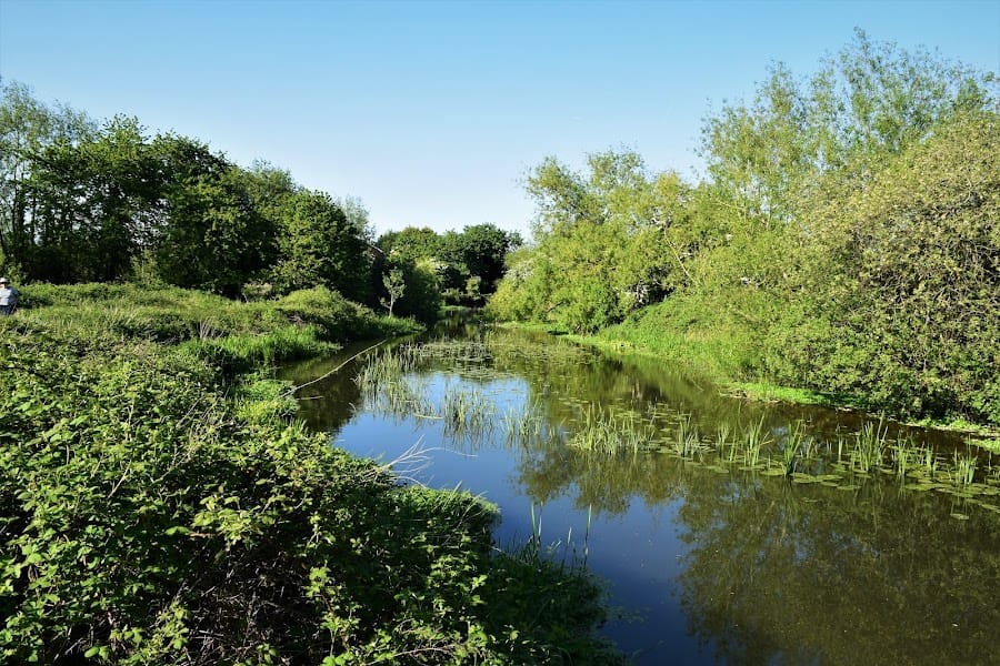 Molesey Heath