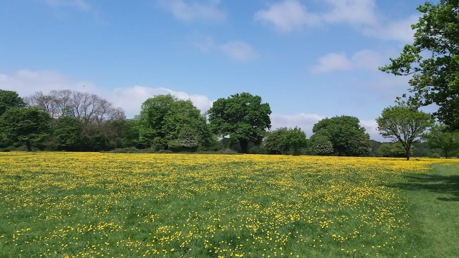 National Trust - Hatfield Forest