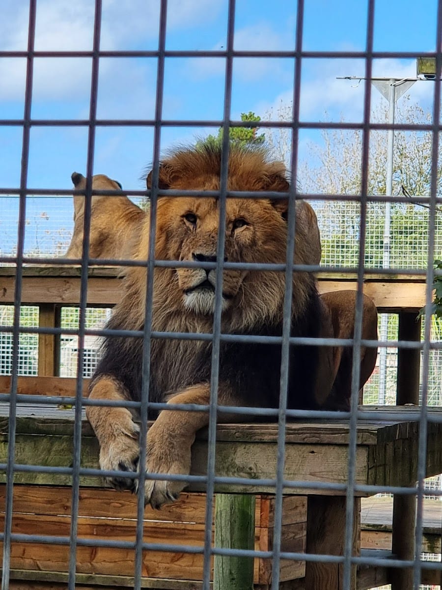 Newquay Zoo