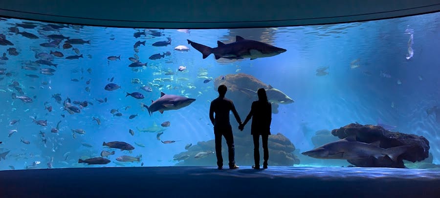 Palma Aquàrium