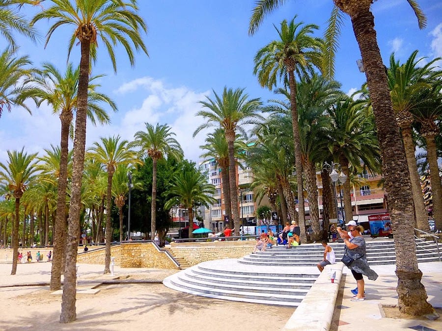 Parc d'Elx