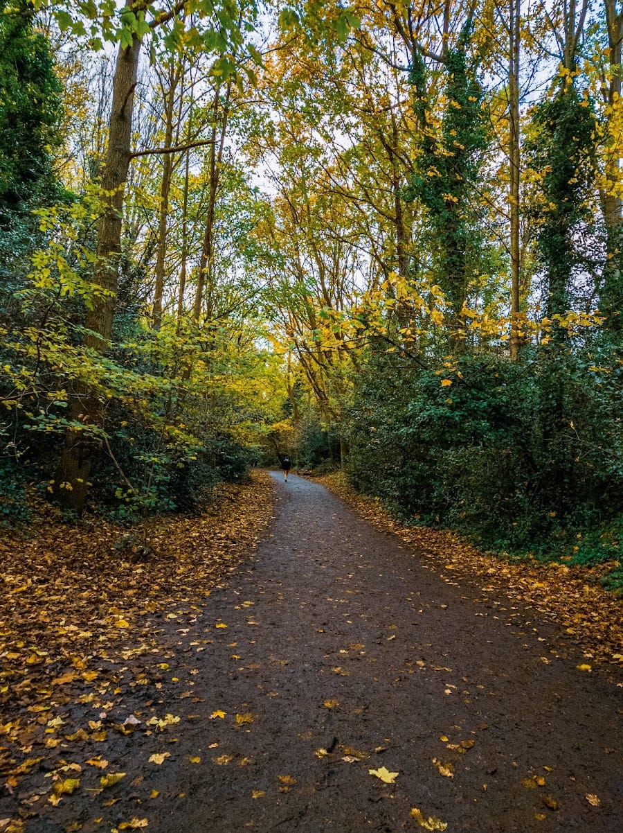 Parkland Walk