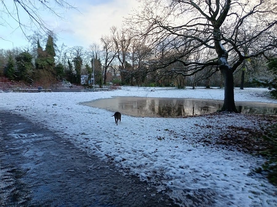 Peel Hall park