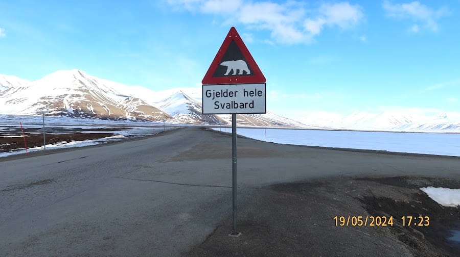 Polar Bear Sign