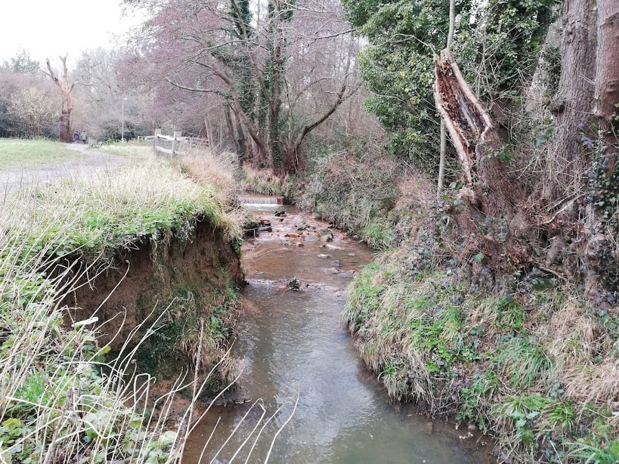 Scrase Valley Nature Reserve