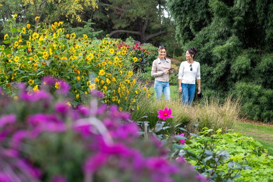 The Savill Garden
