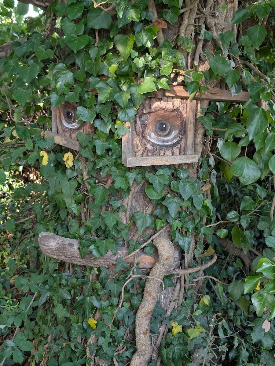 The Whitewalls Tree Spirit