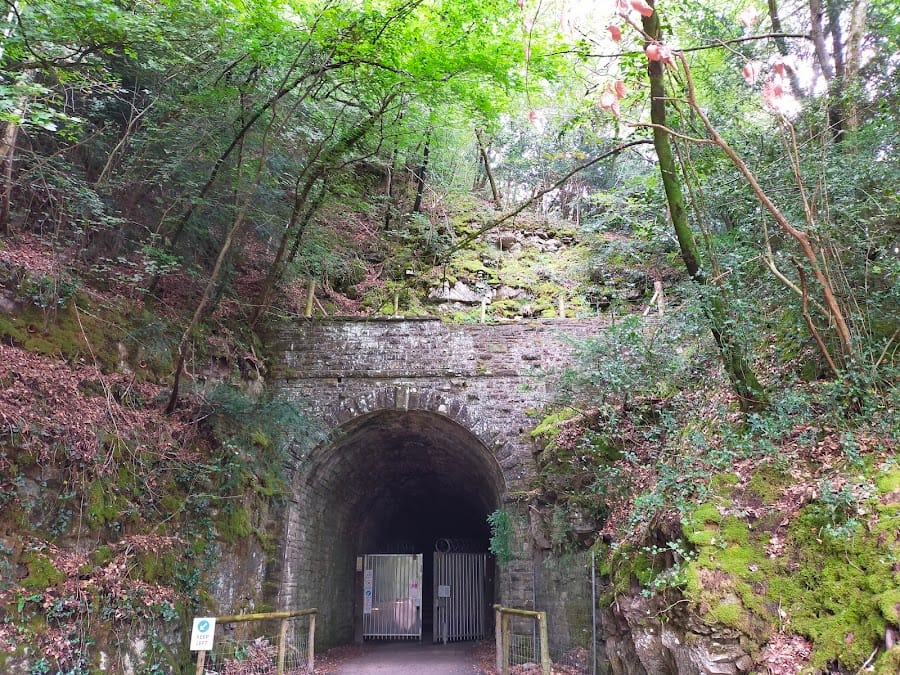 Tidenham Tunnel