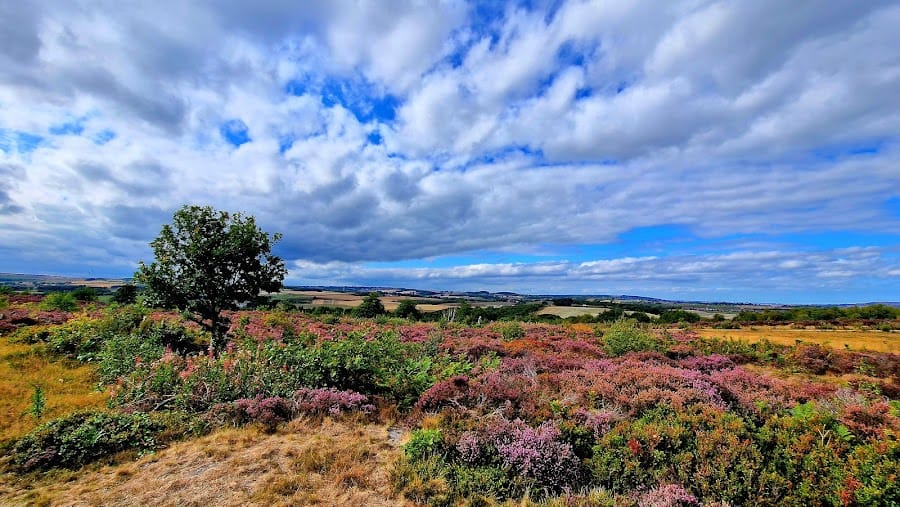 Waldridge Fell Country Park