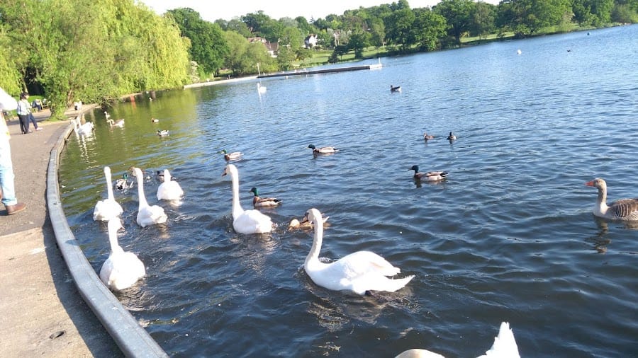 Wimbledon Park