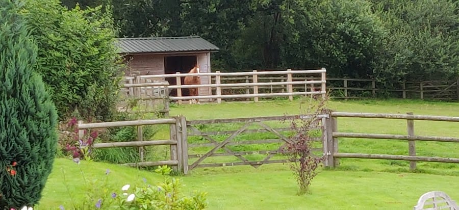 Fernside