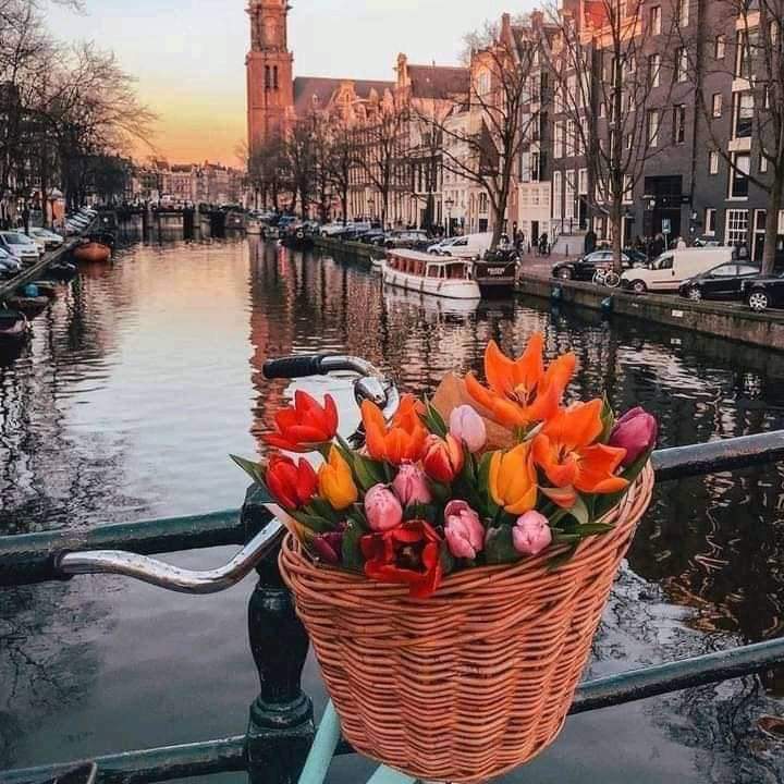Maison Glamsterdam Amsterdam group stay with club 1