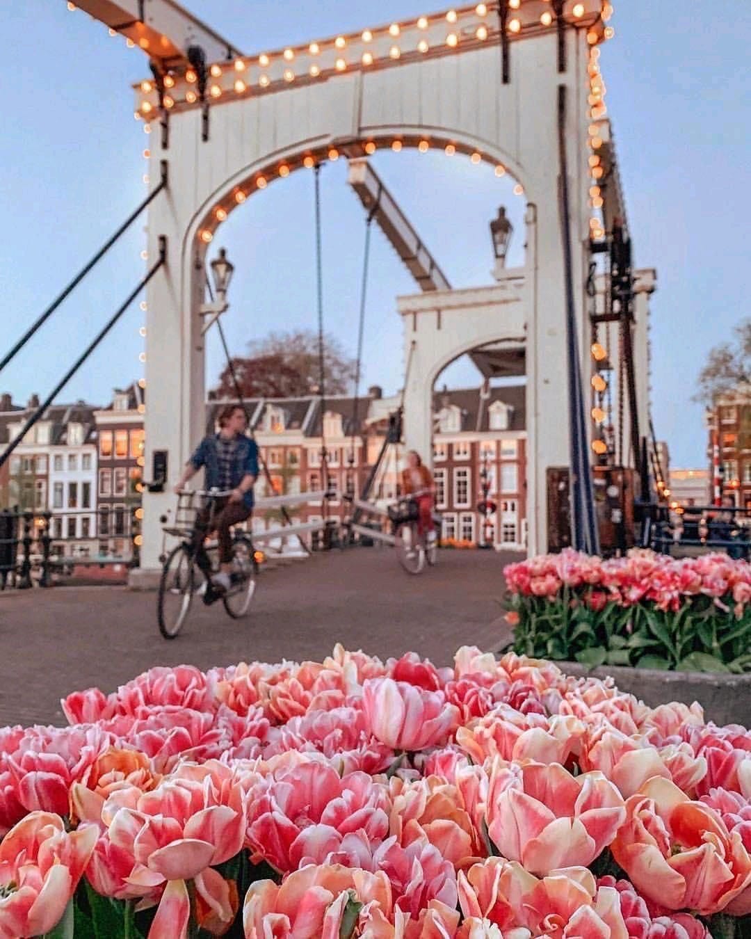 Maison Glamsterdam Amsterdam group stay with club — photo