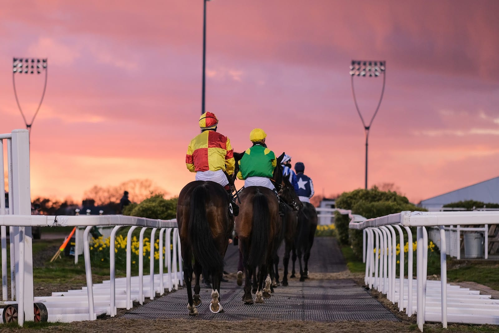 Run Away Festival returns to Chelmsford Racecourse this May — photo