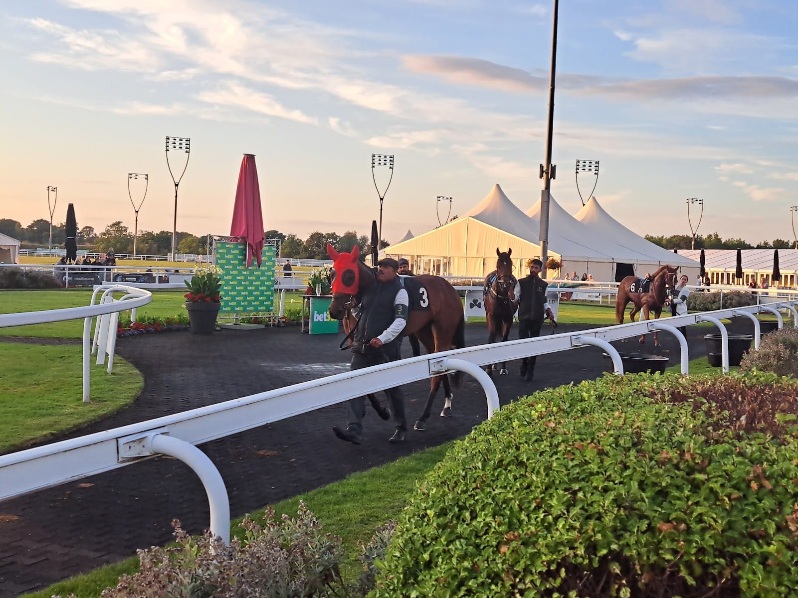 Run Away Festival returns to Chelmsford Racecourse this May — photo
