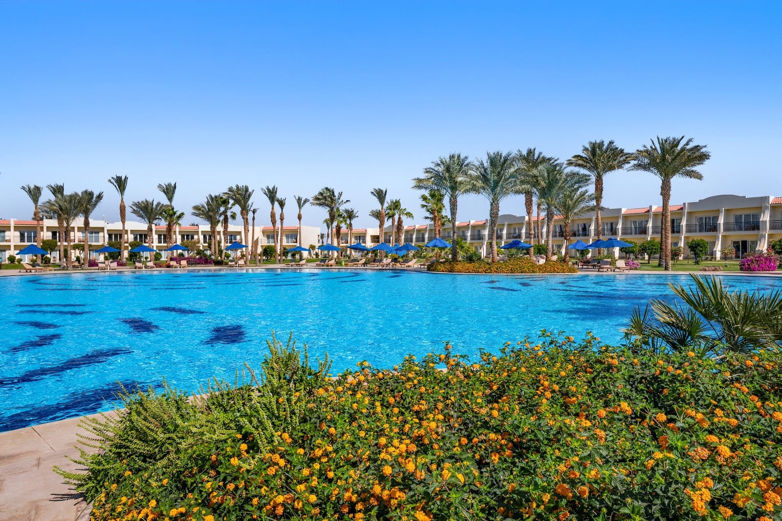 All-inclusive Egyptian beach break from £479pp — photo