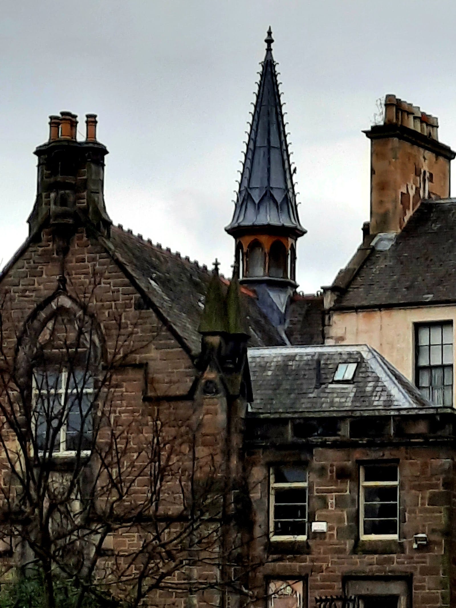 doof in the Park Returns to Dundee This July — photo