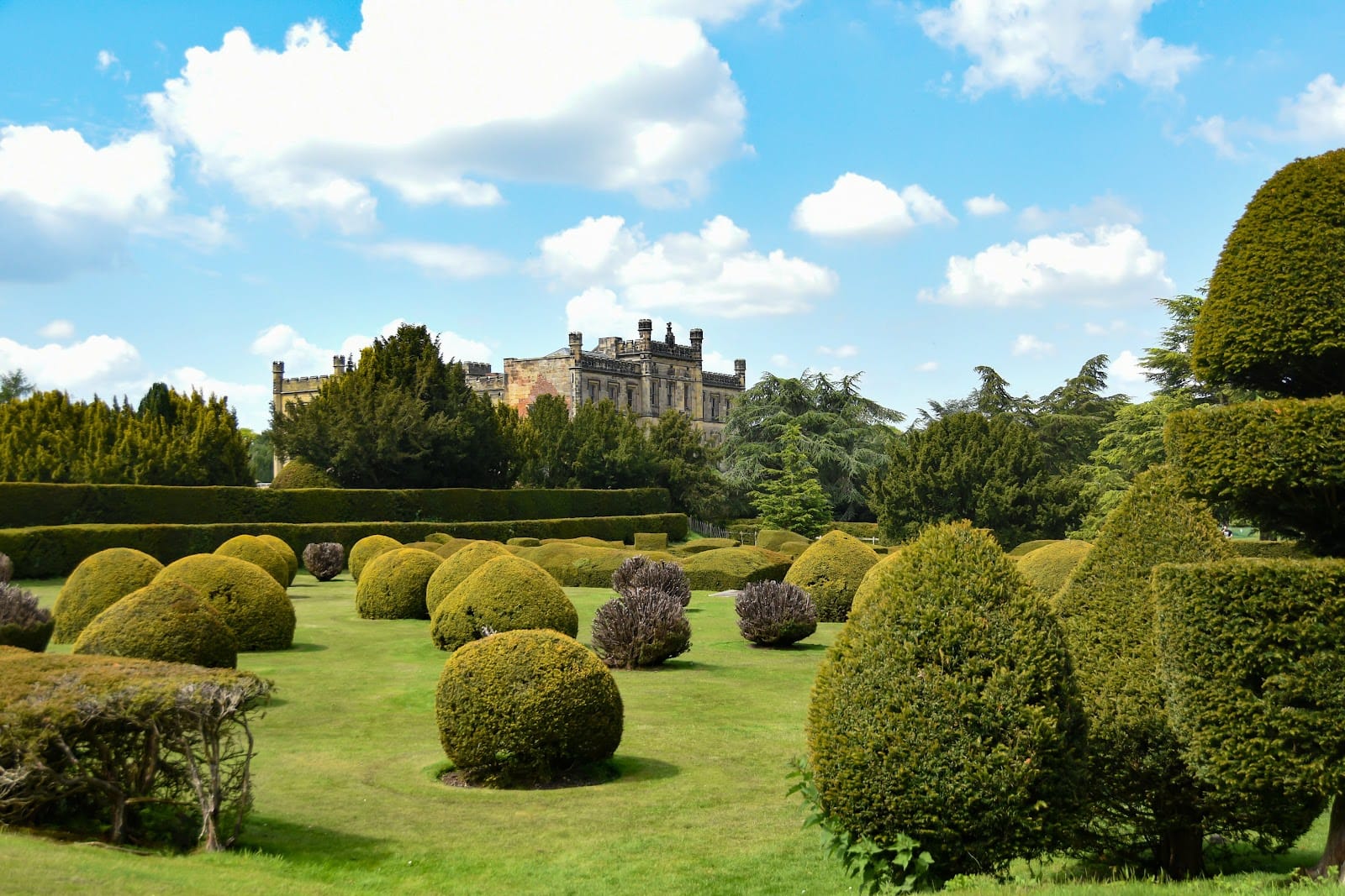Rum & Reggae 2026 returns to Elvaston Castle, Derby — photo