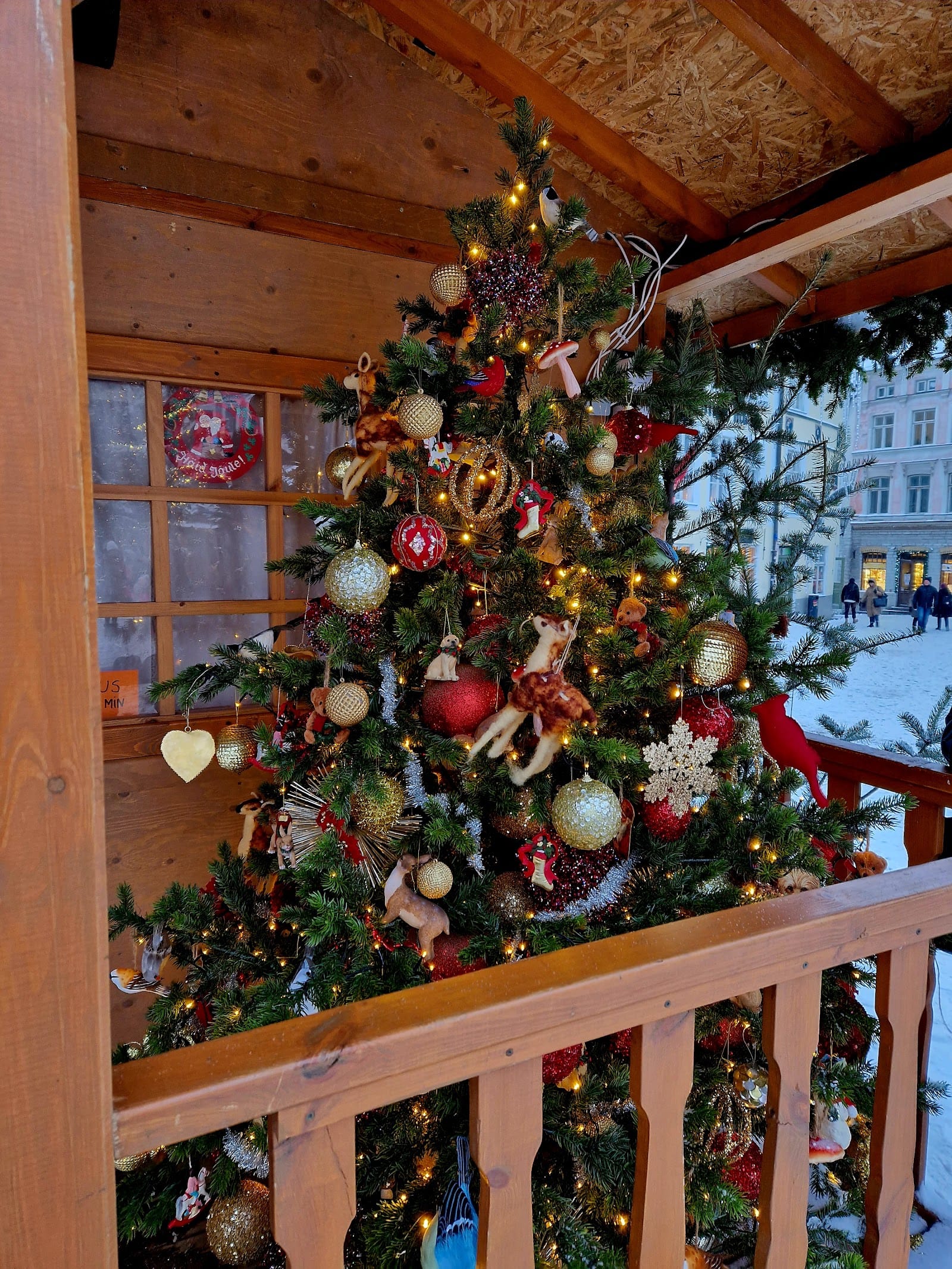 Tallinn Christmas Market: medieval old town + the world's oldest documented Chri — photo