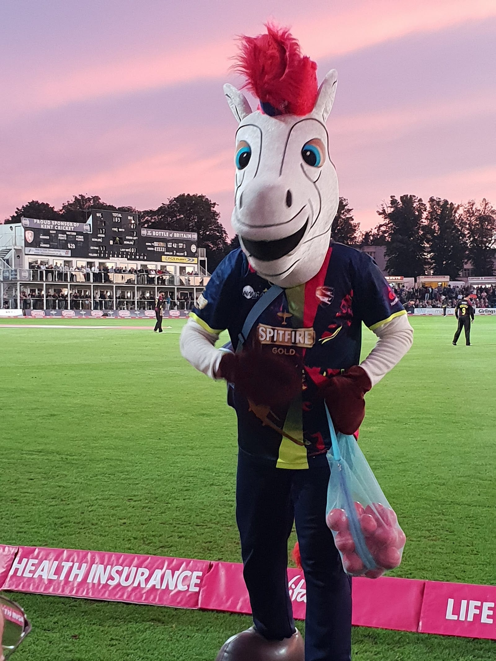 Madness at The Spitfire Ground, Canterbury – Summer 2026 — photo