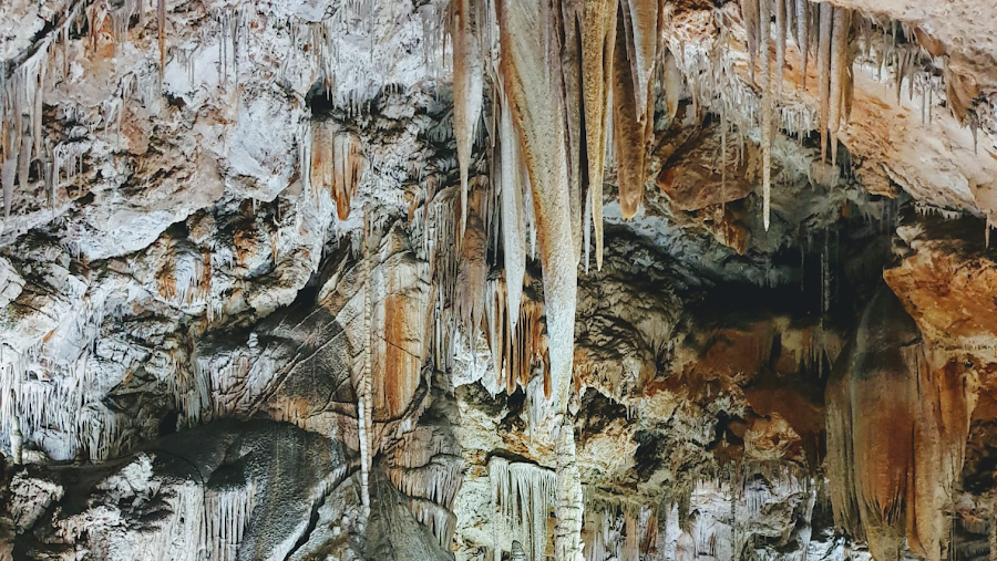 Coves de Campanet