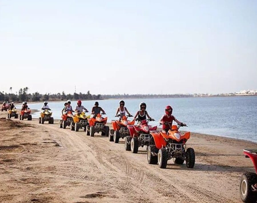 Djerba activité