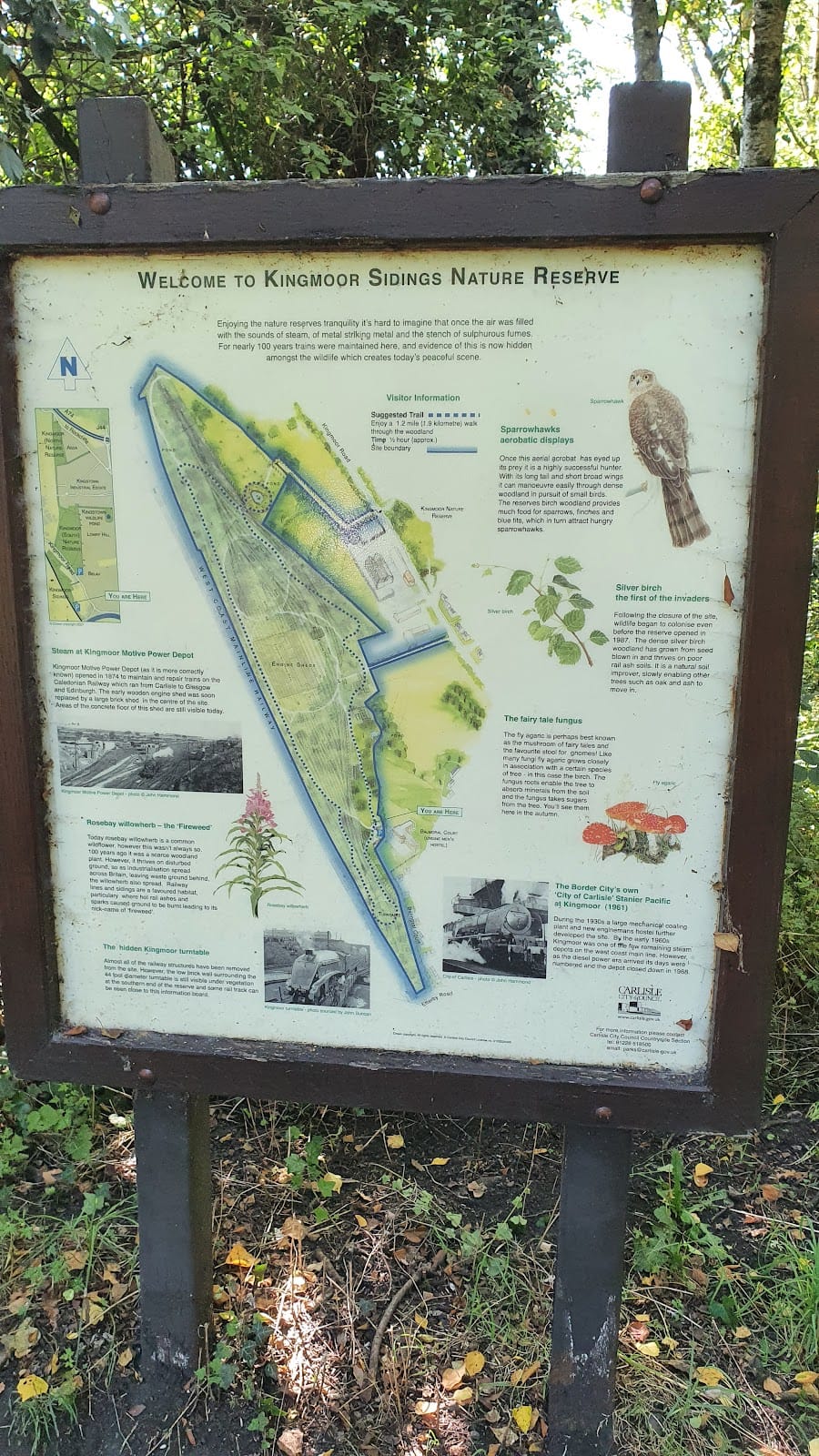 Kingmoor Nature Reserve