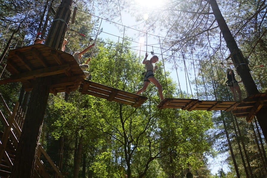 Moors Valley Country Park & Forest