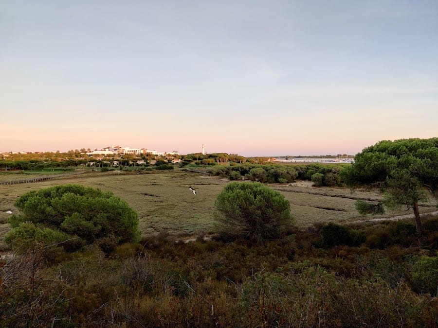 Paraje natural Marismas del Río Piedras y Flecha de Nueva Umbría