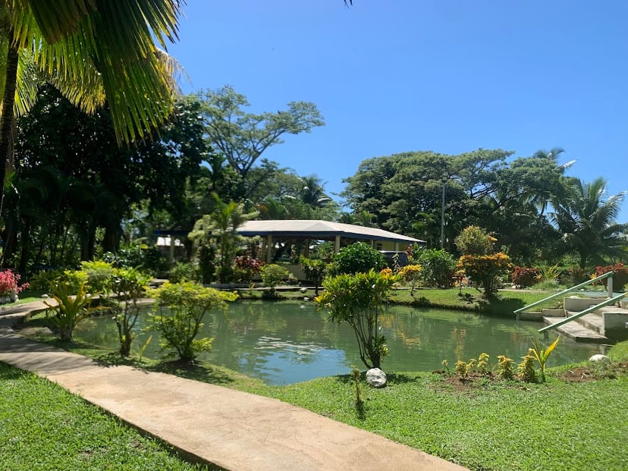 Sabeto Hotspring Mudpool Fiji & Tours