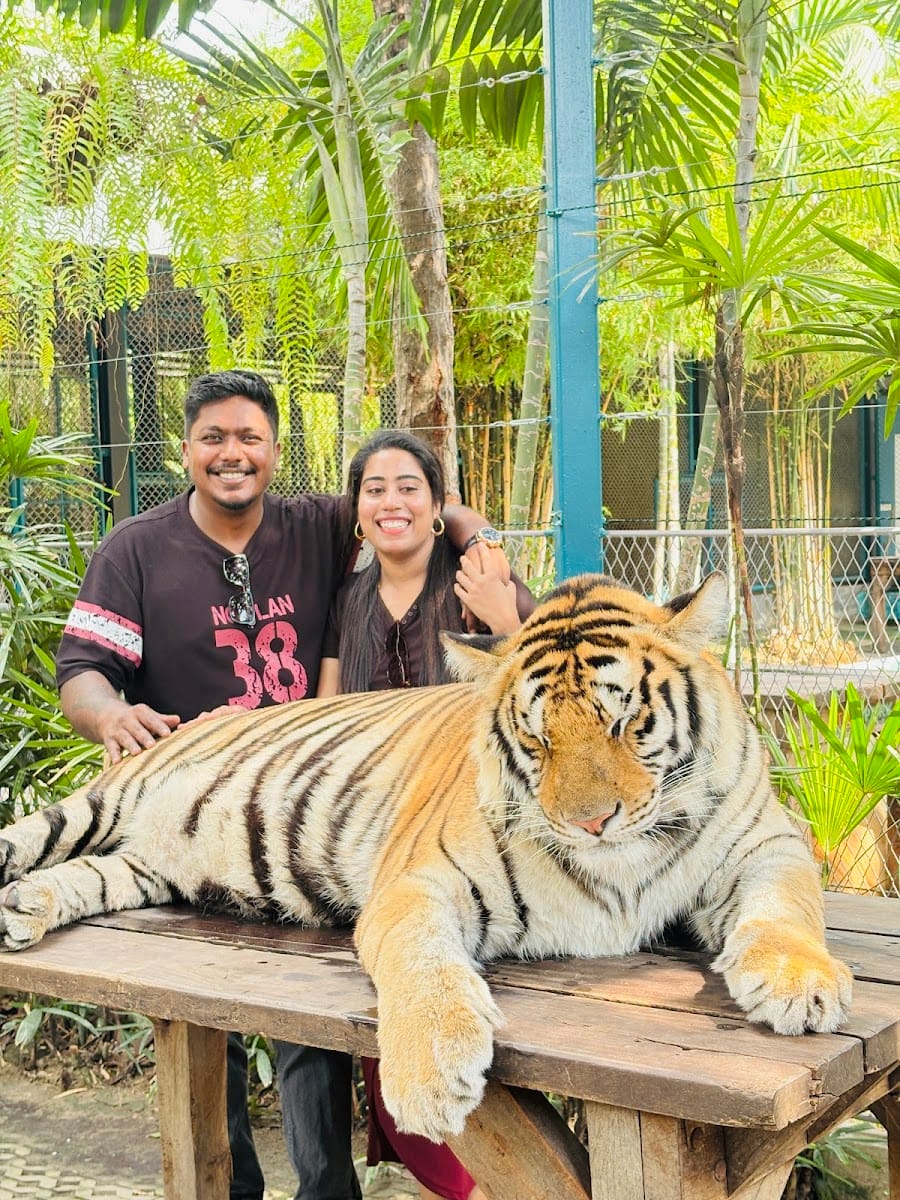 Tiger Park Pattaya