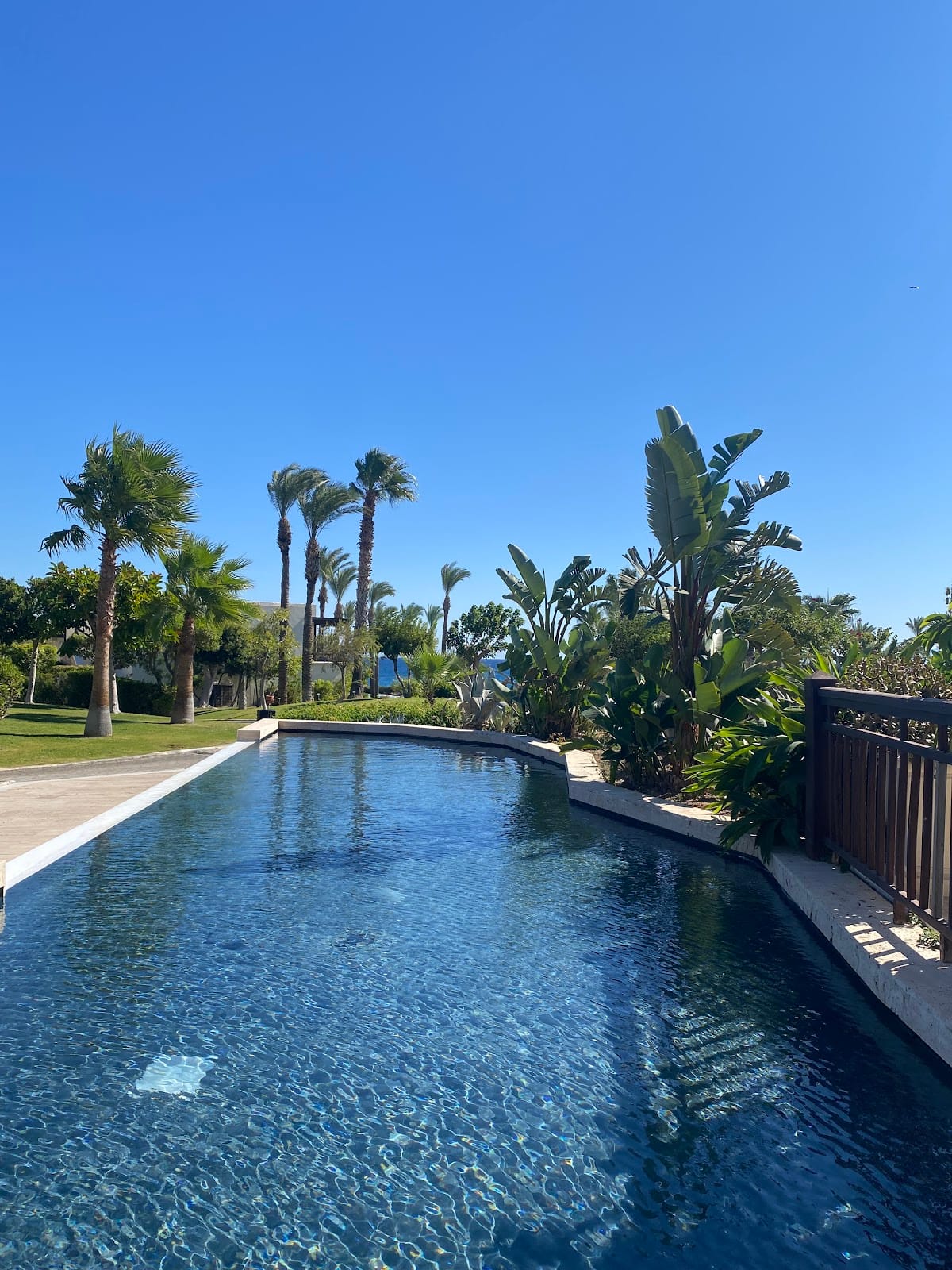 Grecotel LUXME Kos photo 3