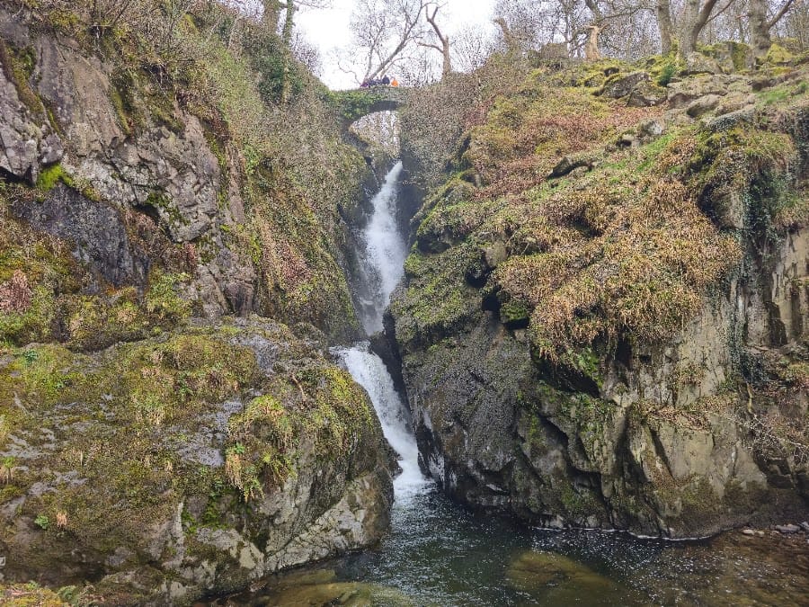 Aira Force
