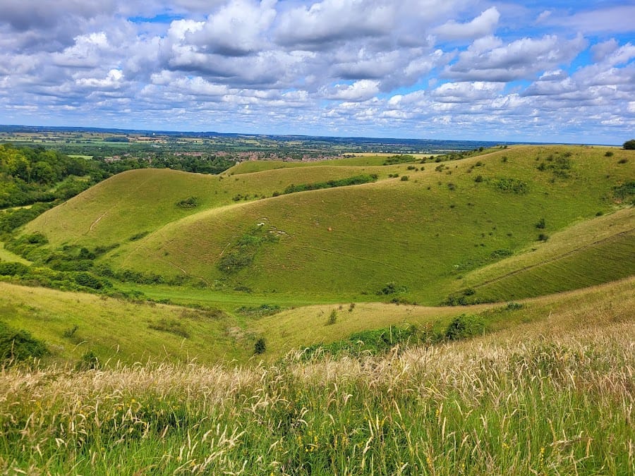 Barton Hills NNR