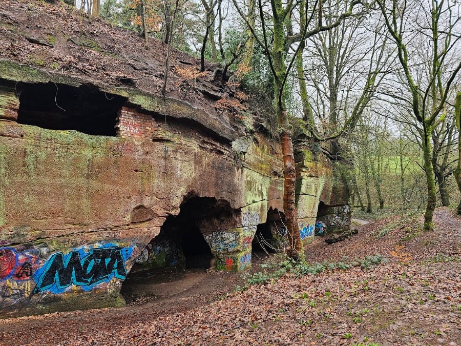 Beech caves