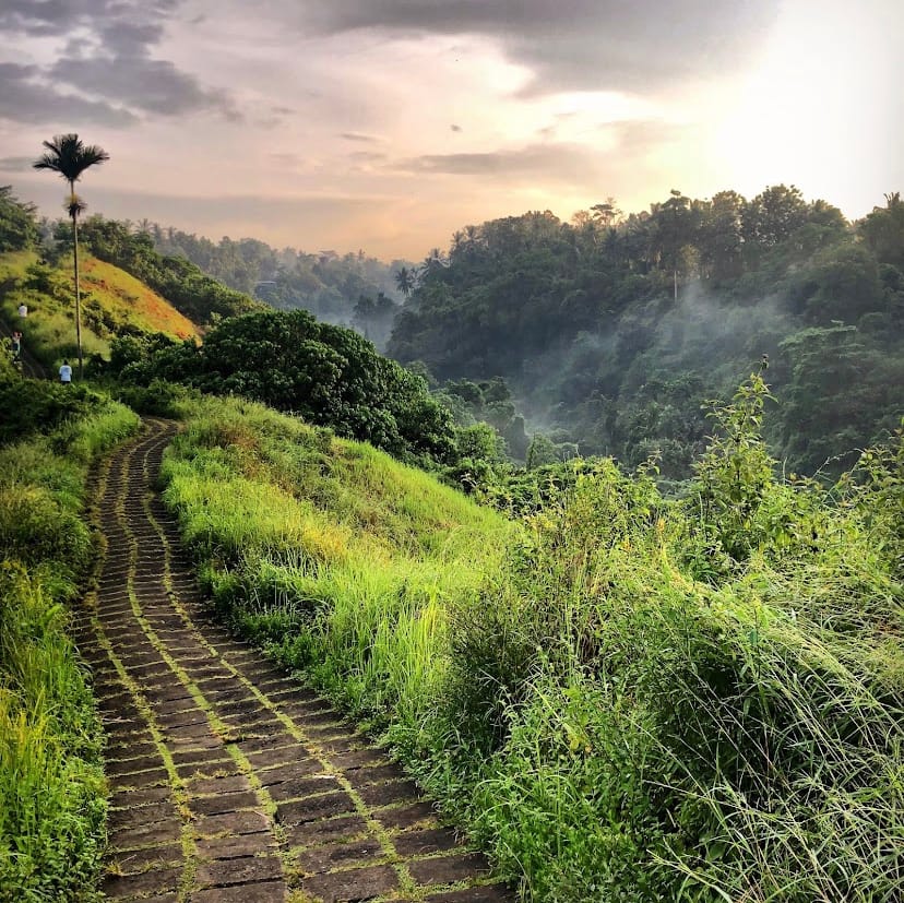 Campuhan Ridge Walk