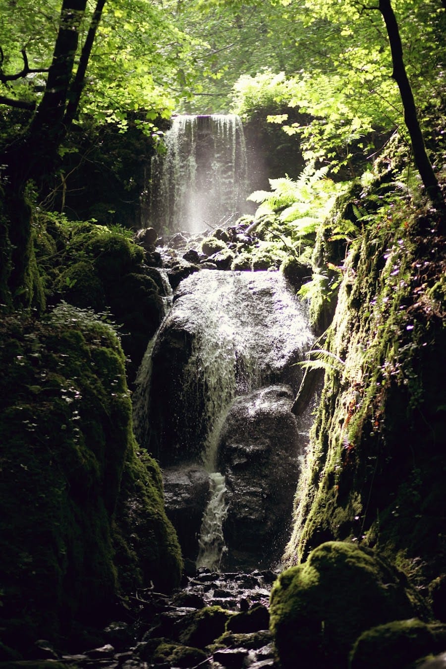 Canonteign Falls