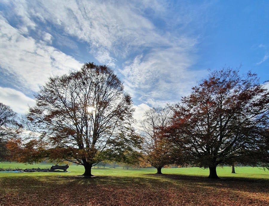 Cheam Park