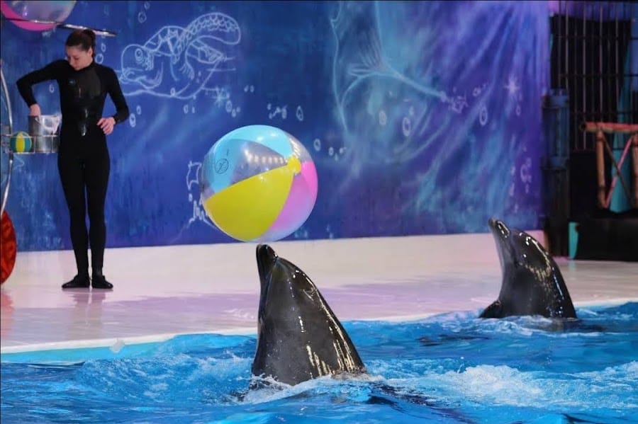 Dubai Dolphinarium